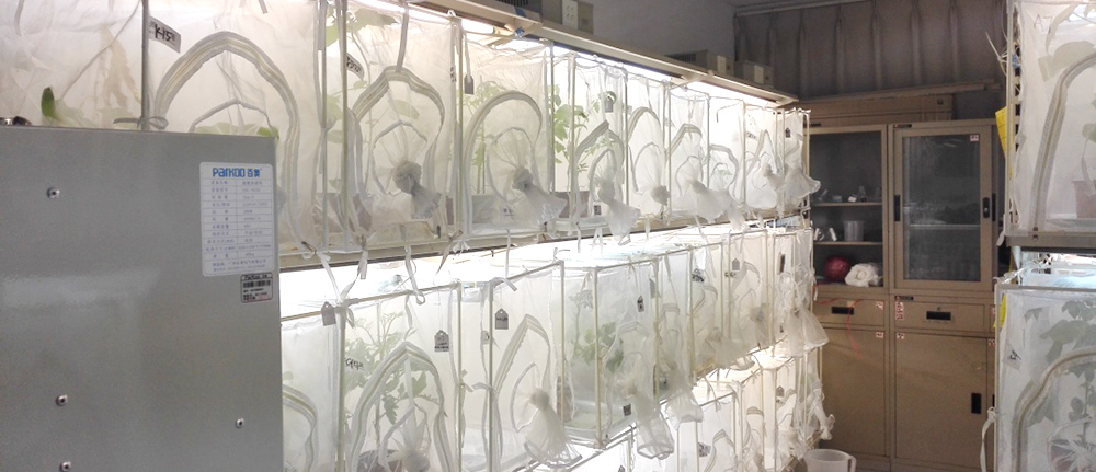 昆虫/藻类/菌类气候室