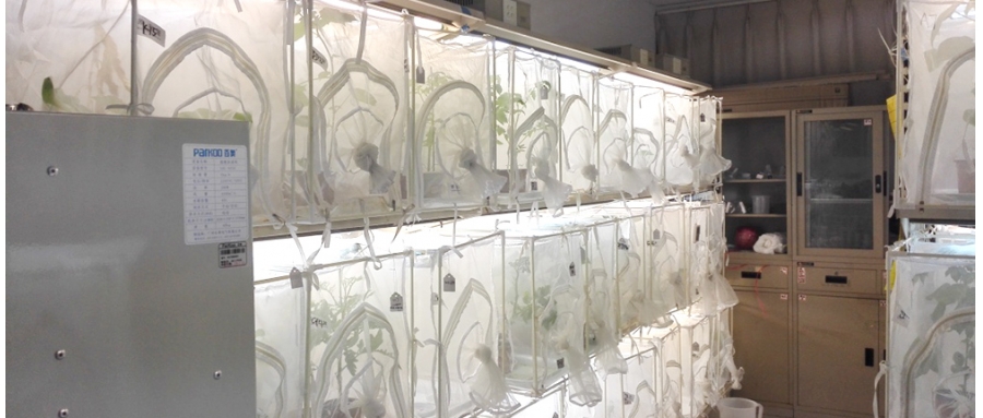 昆虫/藻类/菌类气候室